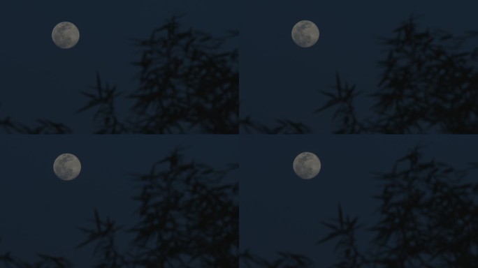 惊蛰夜晚满月空镜12-1080
