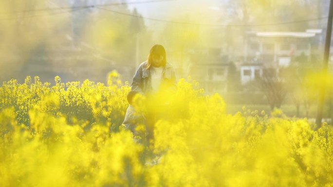 母亲抱起孩子唯美油菜花田梦境回忆