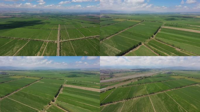 农田 农业 农业生产 玉米地 春季农田