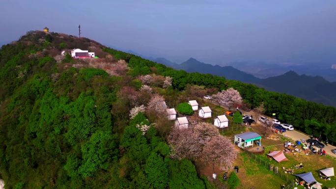 航拍 重庆大盛云龟山 樱花 滑翔伞 日落