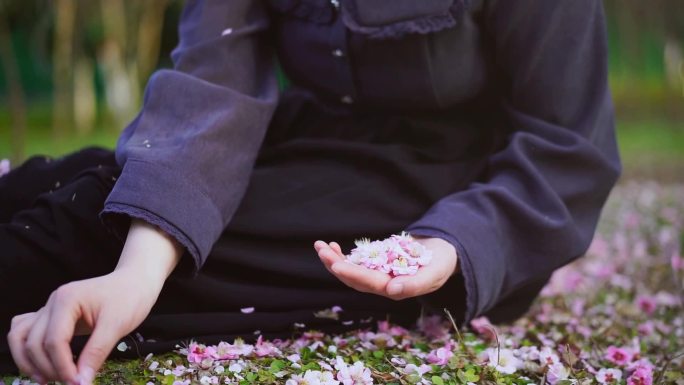 唯美春天花飘落 捡桃花 手拿桃花