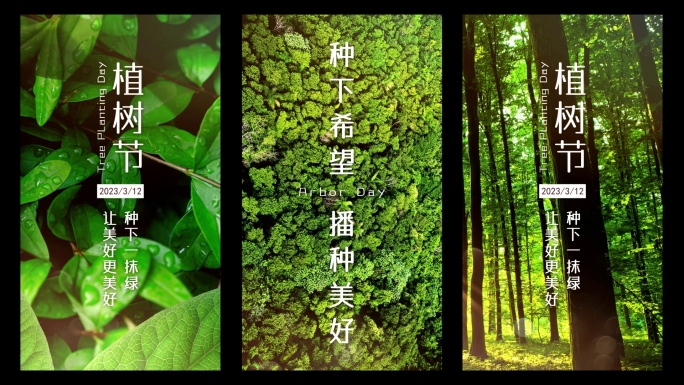 大气实景3.12植树节短视频宣传