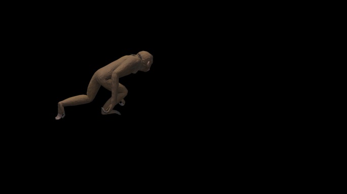 猴子动画三维动物带通道