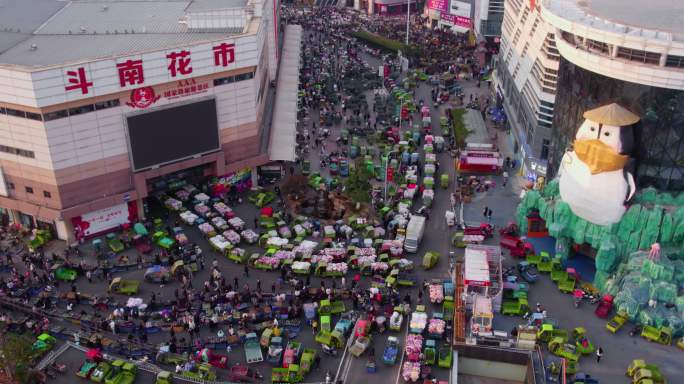 4k 航拍云南昆明斗南花市开市