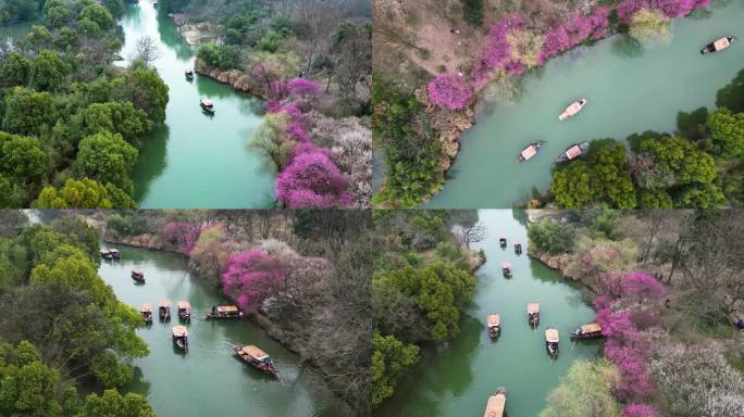 西溪湿地梅花航拍合集