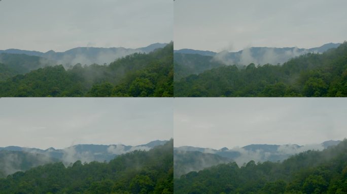 山上云雾缭绕延时自然风光森林