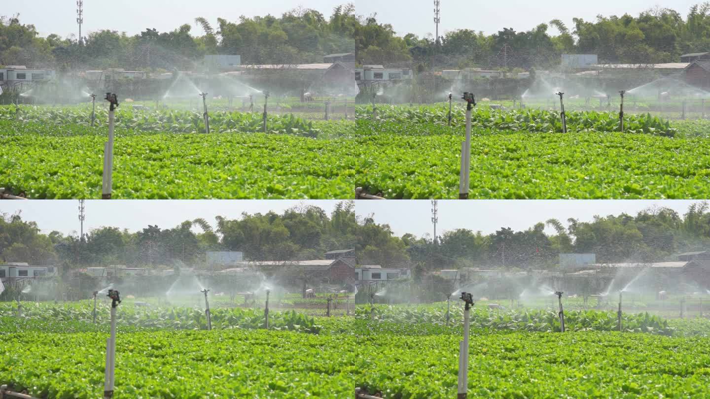 农田种植使用的自动灌溉喷淋系统