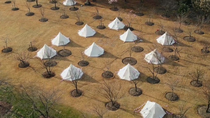 公园露营地帐篷