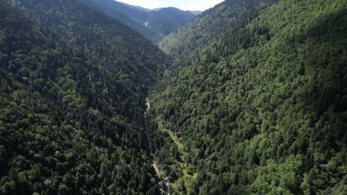 高山河谷森林 川西