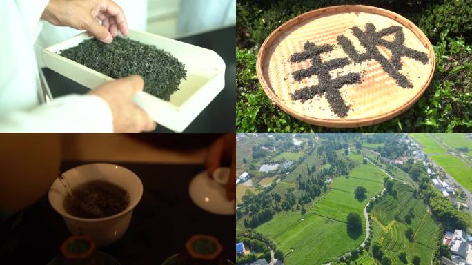 高清茶文化素材采摘航拍茶厂
