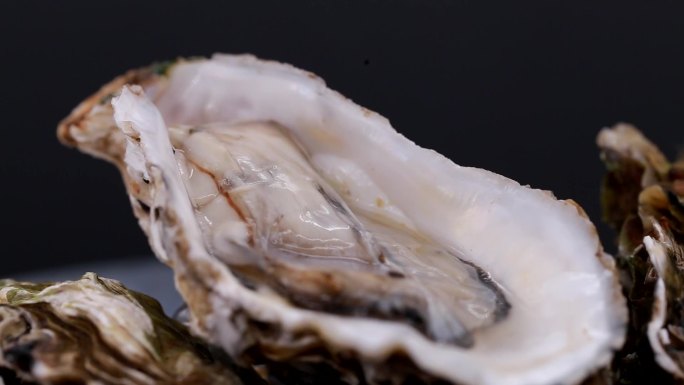 【实拍】鲜活生蚝海蛎子牡蛎实拍素材