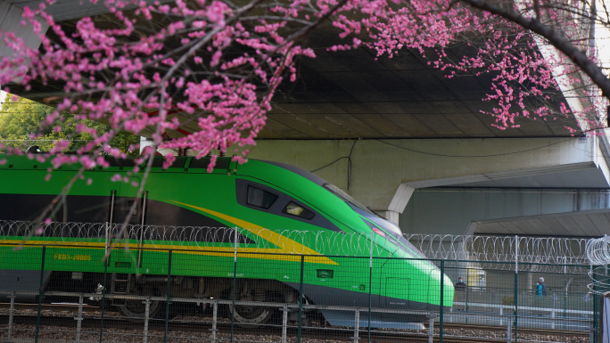杭州开往春天的火车