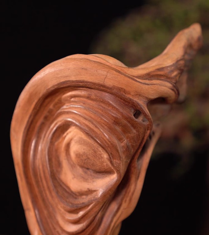耳木耳朵木头木雕雕刻木座特写展示工艺品