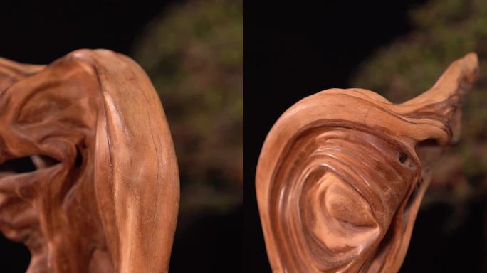 耳木耳朵木头木雕雕刻木座特写展示工艺品