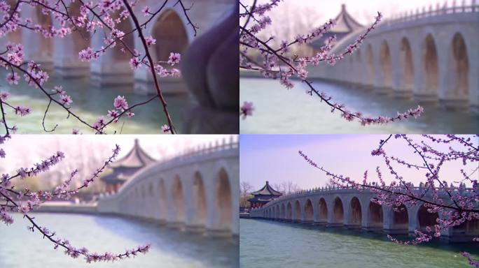 初春桃花盛开的颐和园十七孔桥