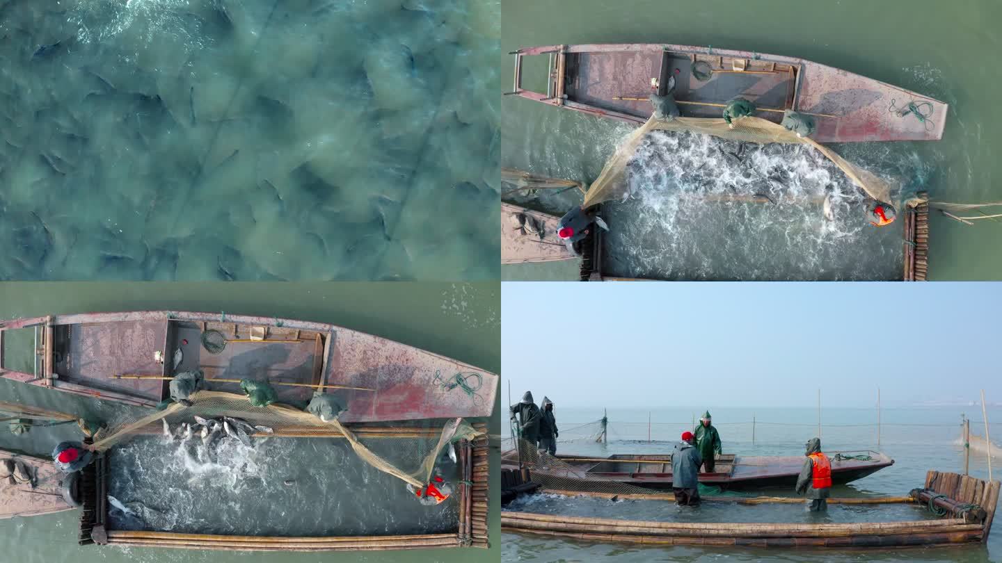 水产渔业丰收村民捕鱼