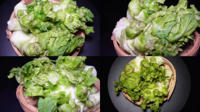 【镜头合集】儿菜嫩儿仔绿色蔬菜娃娃菜3