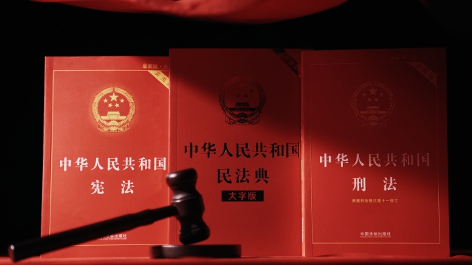 学习法律书籍刑法宪法民法典
