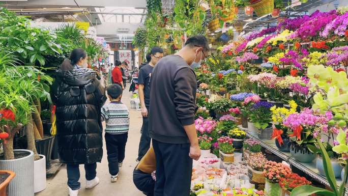 花店花鸟市场