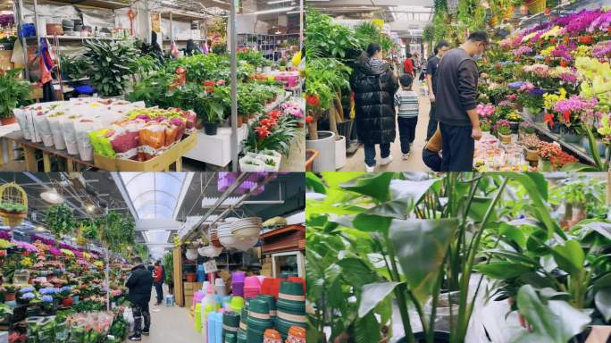 花店花鸟市场