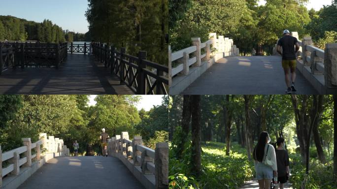广州海珠湖 湿地公园 晨练跑步行人 日落