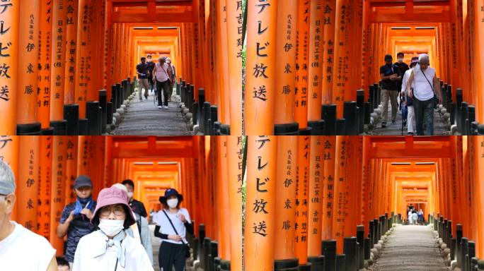 稻荷神社 千本鸟居 鸟居，神社1