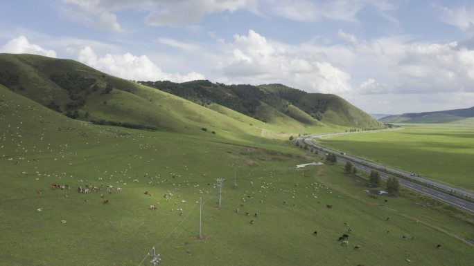 草原山坡