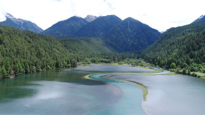 西藏林芝草湖温泉岗云杉林