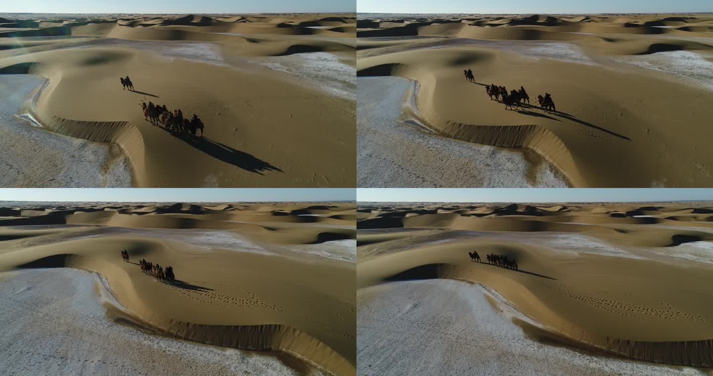 骆驼视频 沙漠骑行