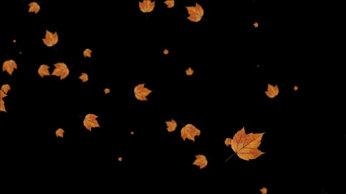 秋天树叶飘落带通道