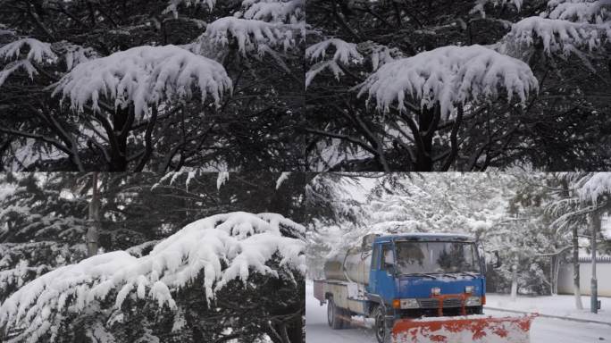 3条高清瑞雪雪花大街清扫雪素材