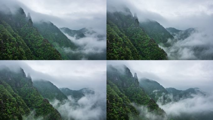 山谷中的云雾延时摄影
