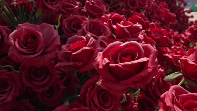 【原创4K】玫瑰 玫瑰花 浪漫 情人节
