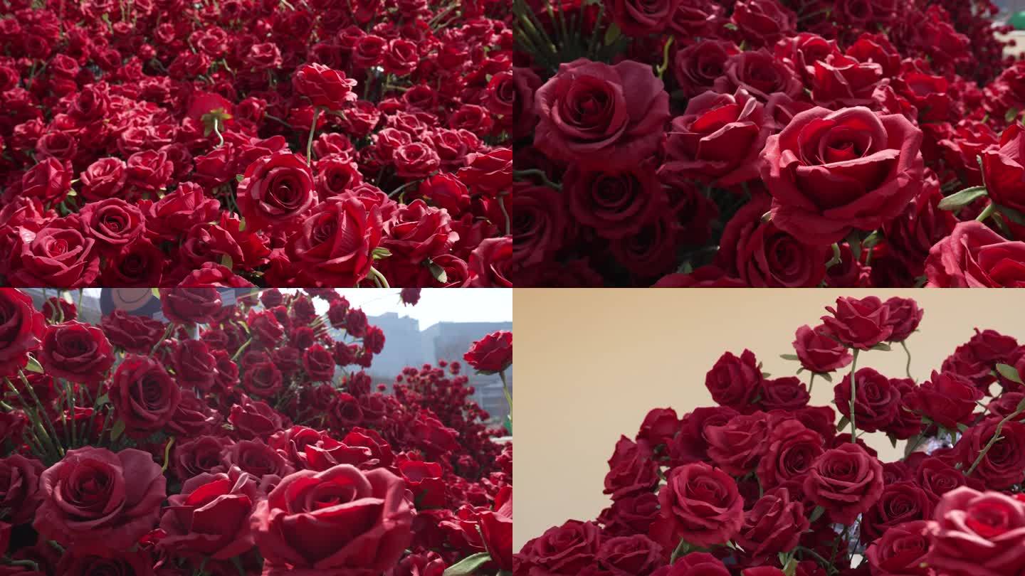 【原创4K】玫瑰 玫瑰花 浪漫 情人节