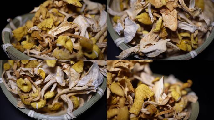 【镜头合集】东北特产鸡油菌干蘑菇黄金1