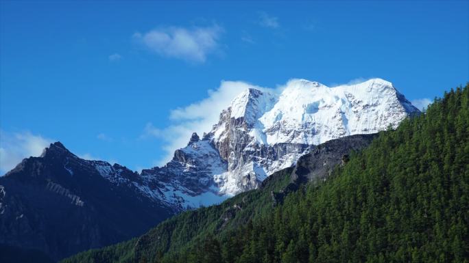 贡嘎雪山 森林云雾延时