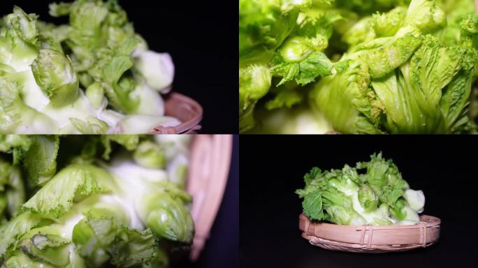 【镜头合集】儿菜嫩儿仔绿色蔬菜娃娃菜1