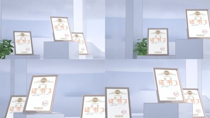 企业荣誉证书展示竖版