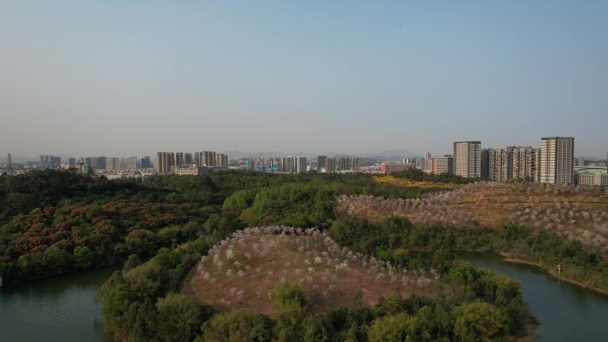 平湖生态园