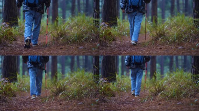 森林行走脚步背包客徒步旅行者慢步林间探险