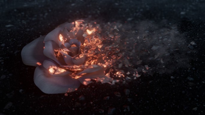 燃烧破碎的花