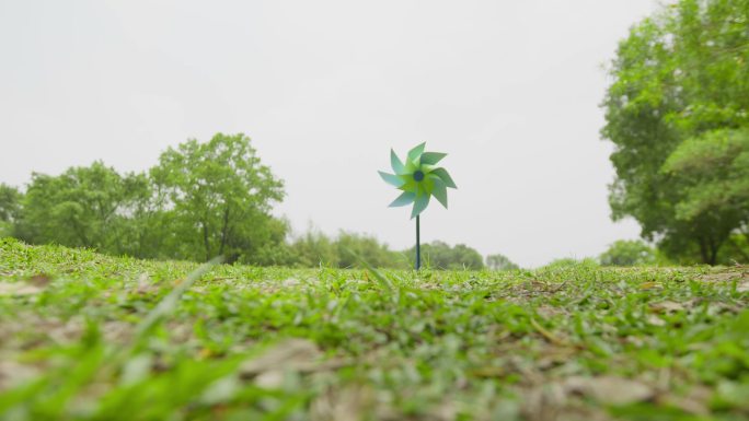 风车草地自由幸福靓丽风景