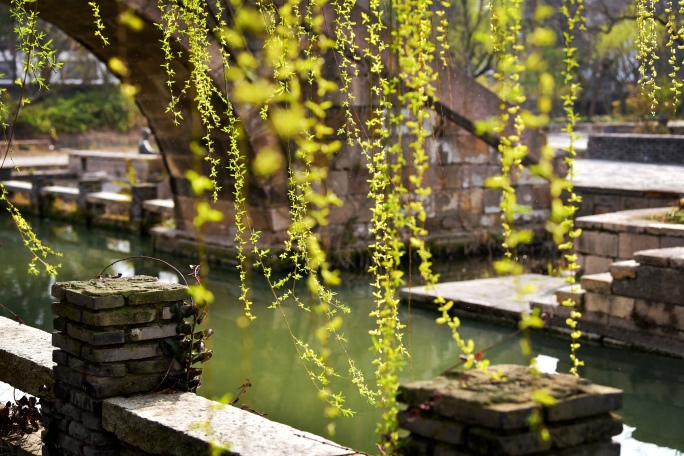 【原创】春暖花开 游人踏青 油菜花海