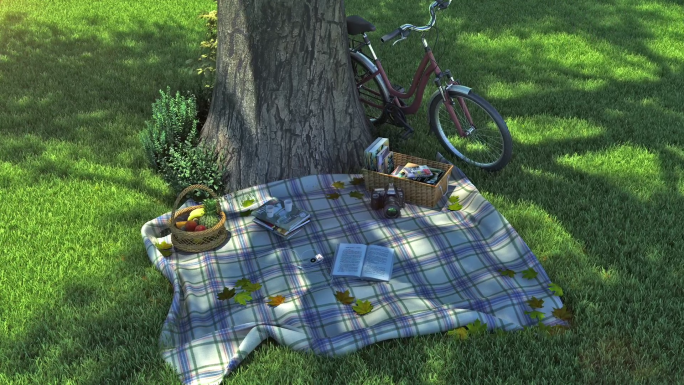 现代公园草坪野餐三维动画