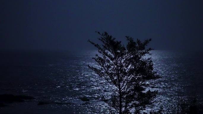 月光海岸