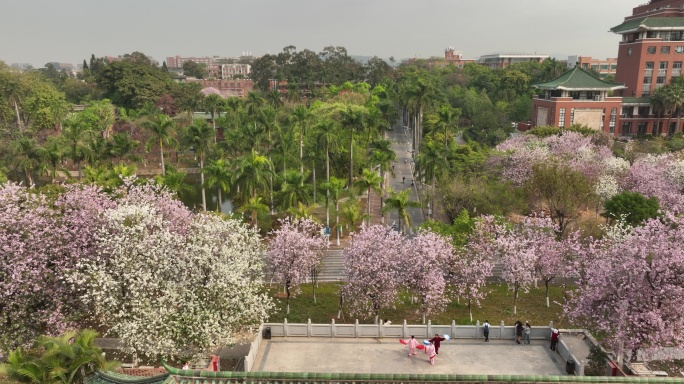 广州华南农业大学