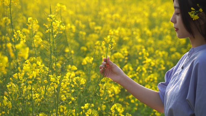 伸手抚摸油菜花