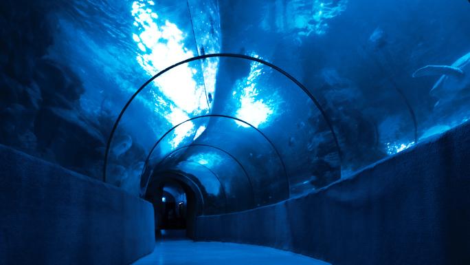 4K海底隧道实拍素材