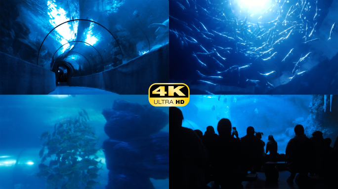 4K海底隧道实拍素材