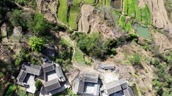 丽江高原山区小麦田航拍